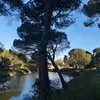 vxrdurix_9