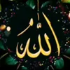zohra_tailer