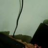 usernamefal0