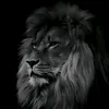 sami_khan_210