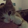 sanstecuu__