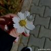 user37525424670964