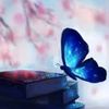 qw57641qw57641