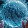 primenemesis2