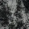 xeztt1k