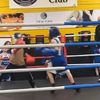 davidstokes180