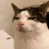 طالب سادس 3x