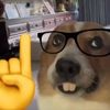 ccavman8