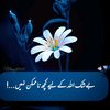 hurain.khan647