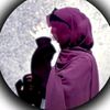syeda5th5