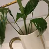 xami_dl35