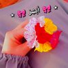 zina_zm88