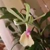 fred07047
