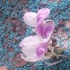 .ei.myat.moe4