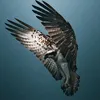 black_osprey