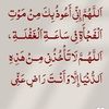 fatimetou.chpping