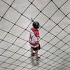 .2real_nhl_3.0