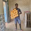 djireyaya115
