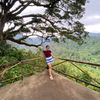 xxprsyya