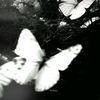 darklines_0
