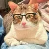 mihang117