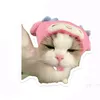iw.nho266