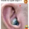 miguel.merentiel048