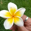 joannhjoy08