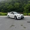 sannerssubie