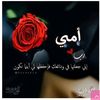 user19561790288410