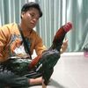 user1717243102603