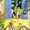 blossom_dairy