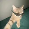 sash_estetic