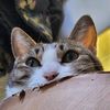 xadorablex7