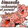 vincent.portier1