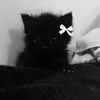 okokbianca