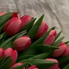 jo_jo20114