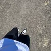 darius_1517