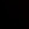 rio_inst13589