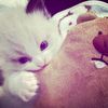 deliaaa_dwiii__