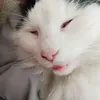 natalia_i_kicia123