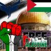 ضياءاللقاني/ DIAA ELLKINY