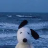 ismini._.de
