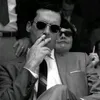d.m_y155
