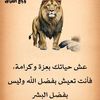 user9331916796969