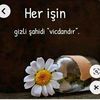 minnoshuseyn