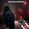 elsen.abisov