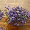 passy.flore5
