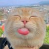 sumaiya_akhter06