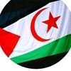 user9075615961948